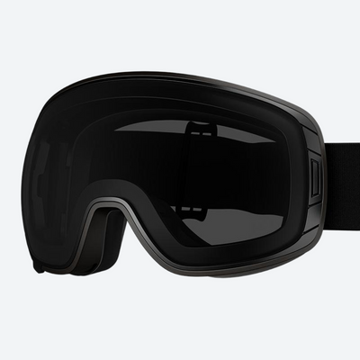 Aurora Spherical Goggles