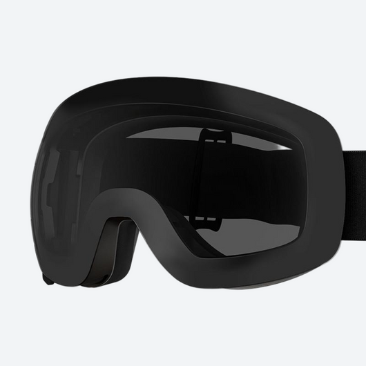 Aurora Spherical Goggles