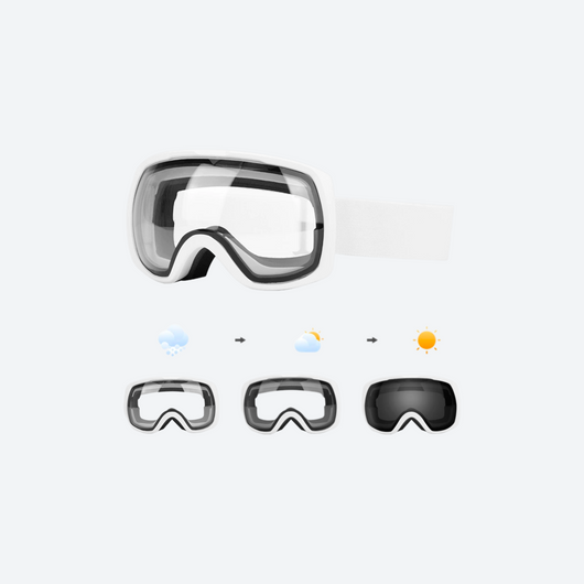 Aurora Photochromic Quick Release Spherical Goggles