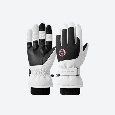 Blizzard Full-Finger Snow Gloves