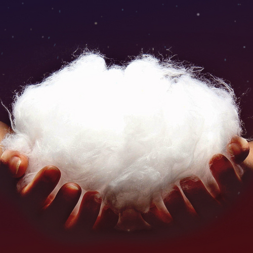 Blizzard X Snow Mittens